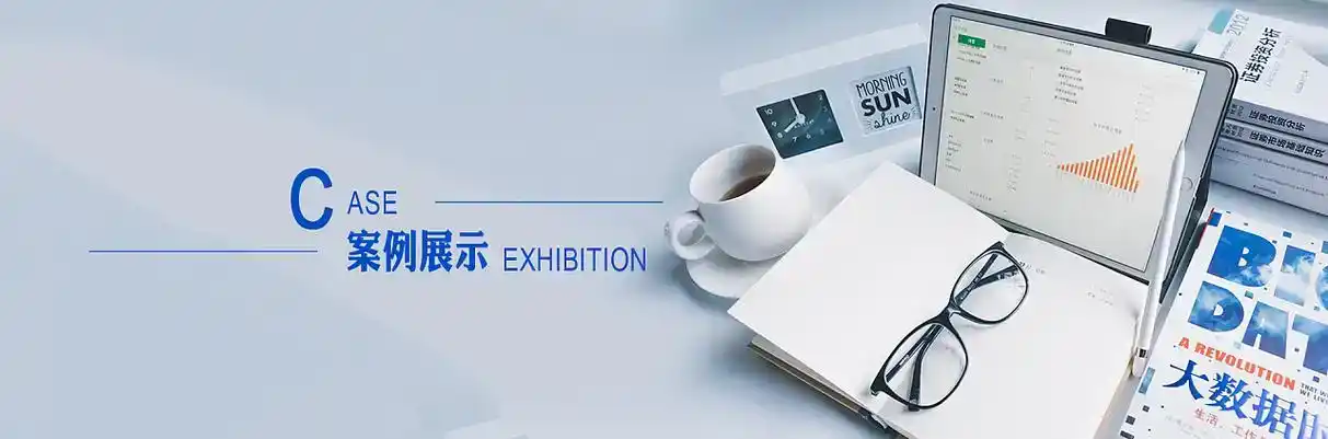 合作市软件开发